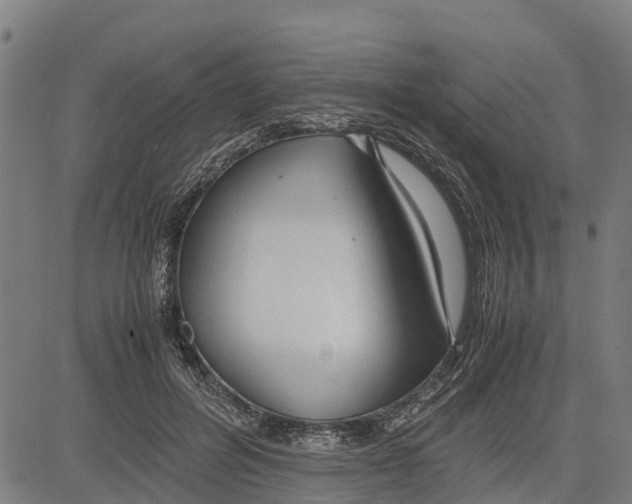 X0000083620600200703121630