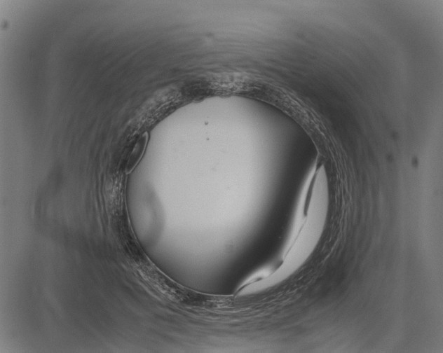 X0000083620601200703121630