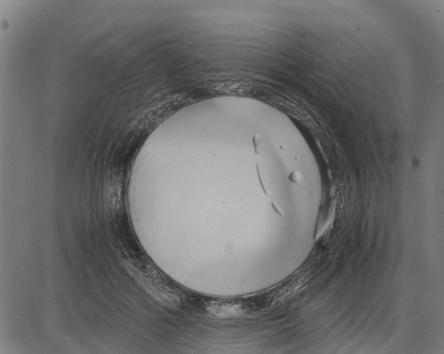 X0000083620602200703121630