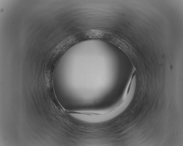 X0000083620604200703121630