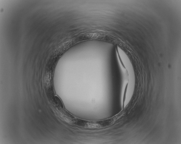 X0000083620605200703121630