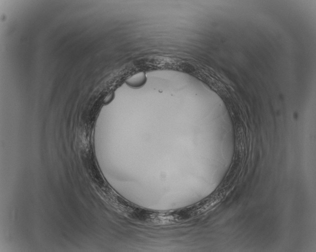 X0000083620607200703121630