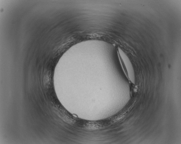 X0000083620608200703121630