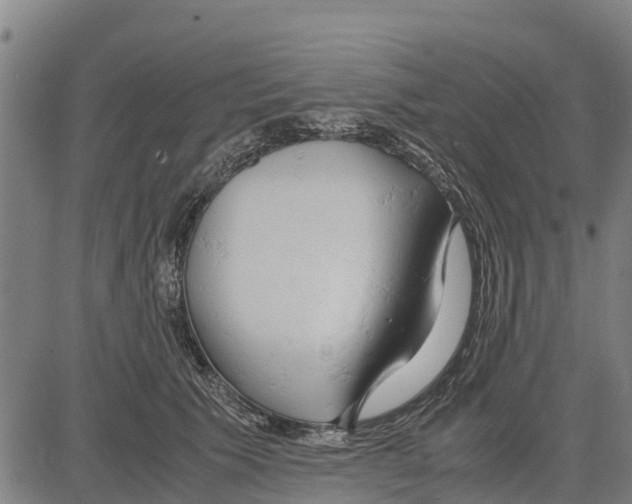 X0000083620609200703121630