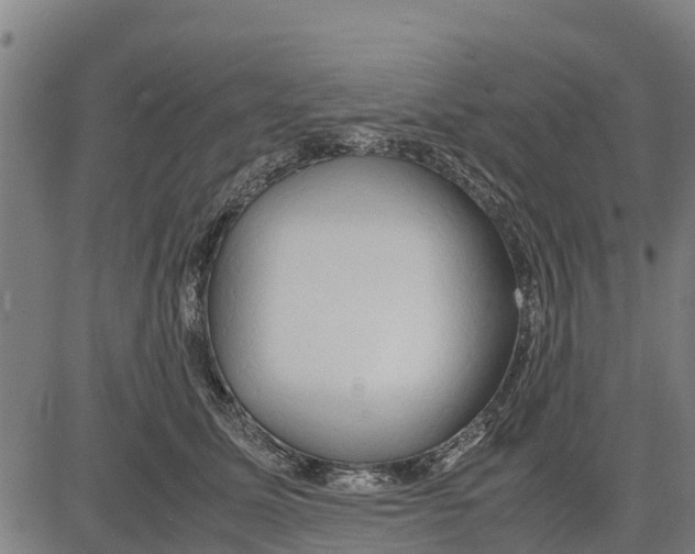 X0000083620611200703121630