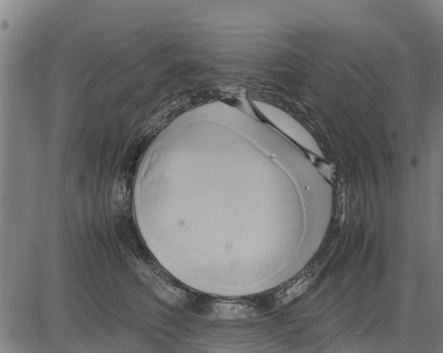 X0000083620614200703121630