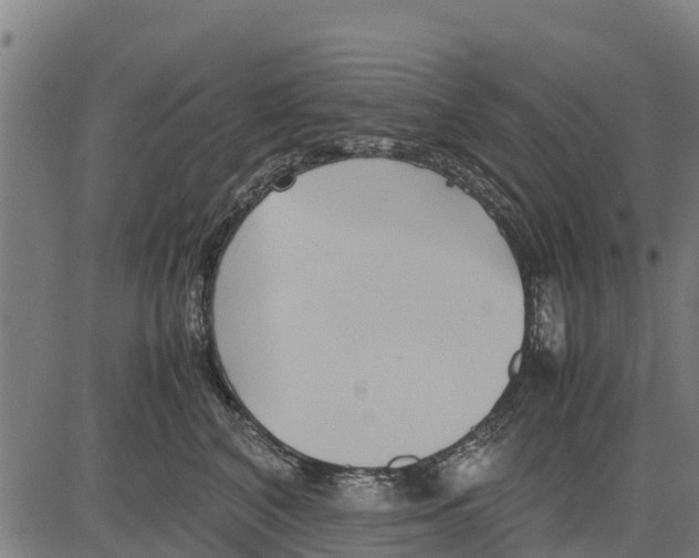 X0000083620616200703121630