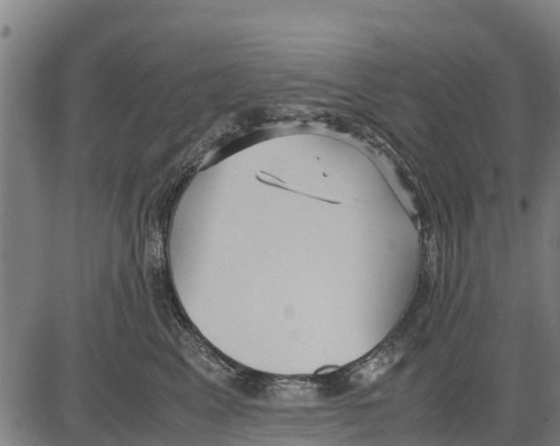 X0000083620617200703121630