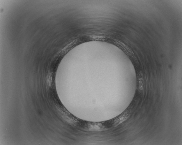 X0000083620618200703121630