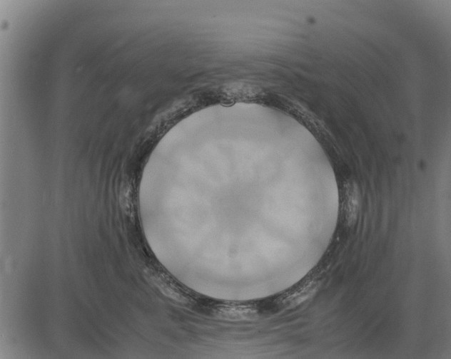 X0000083620619200703121630