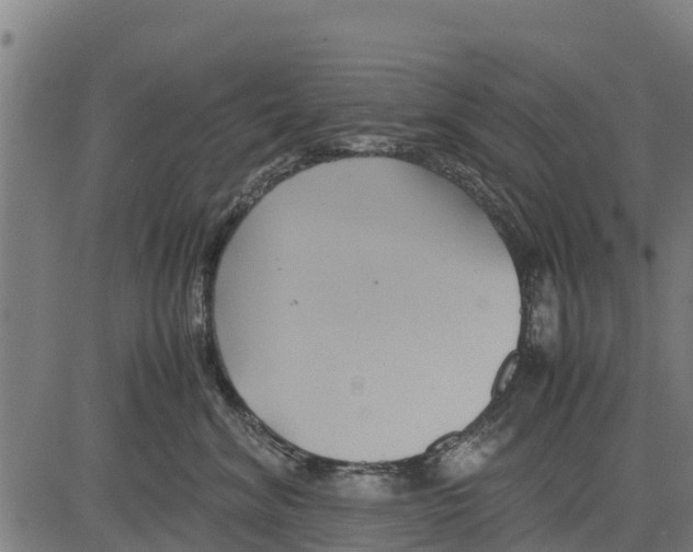 X0000083620620200703121630