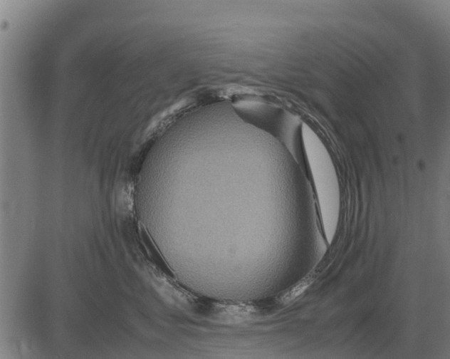 X0000083620621200703121630