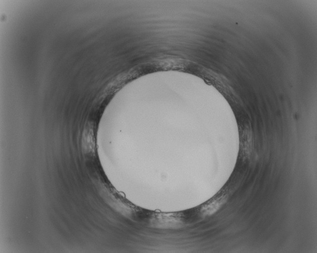 X0000083620622200703121630