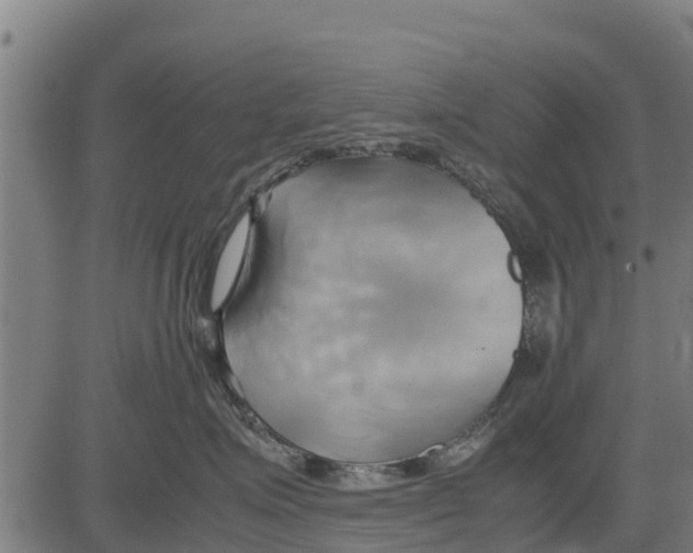 X0000083620623200703121630