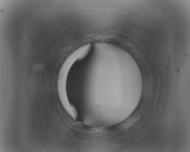 X0000083620624200703121630