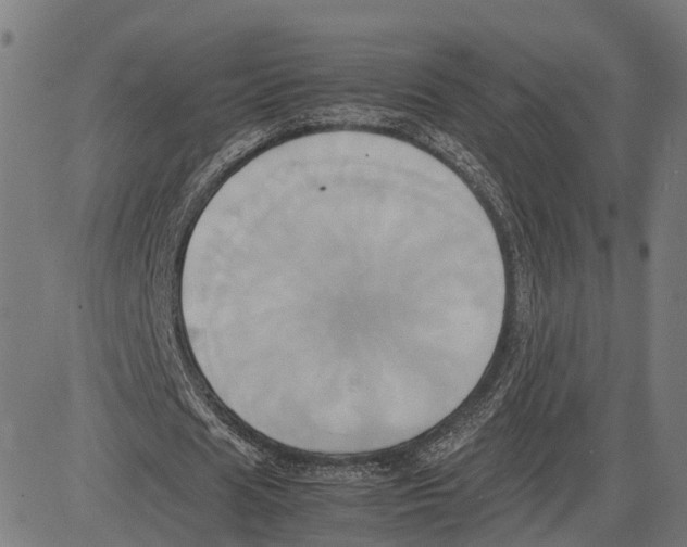 X0000083620625200703121629