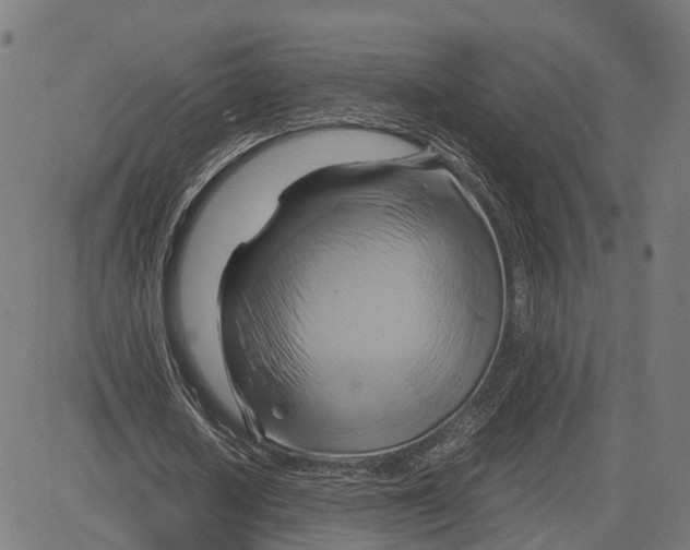 X0000083620626200703121629