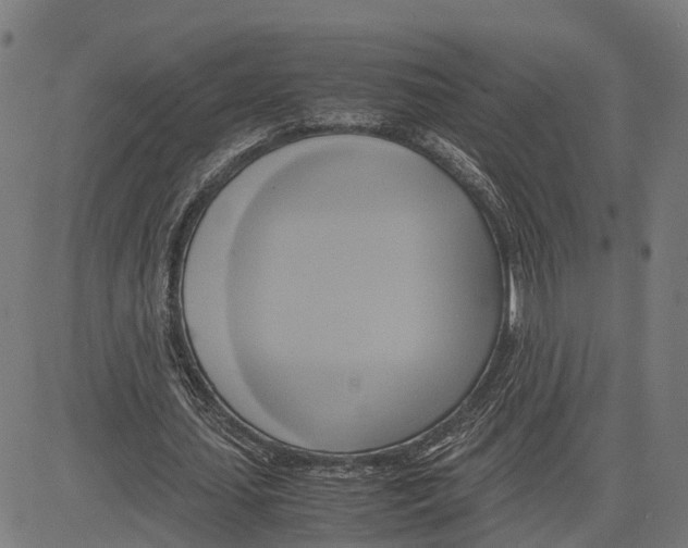 X0000083620627200703121629