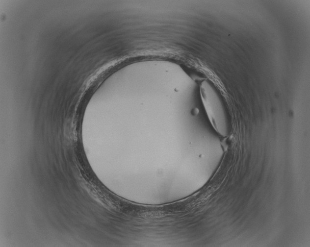 X0000083620628200703121629