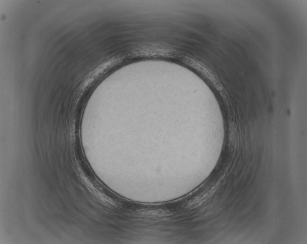 X0000083620629200703121629