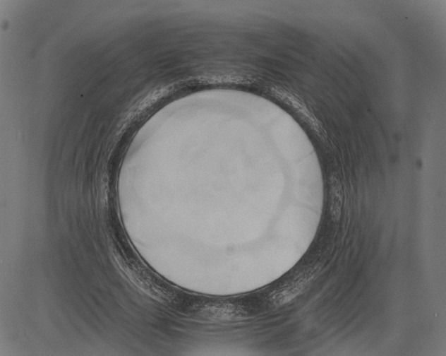 X0000083620631200703121629