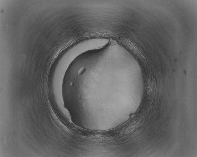 X0000083620634200703121629