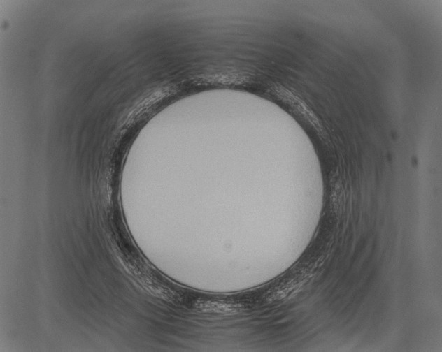 X0000083620635200703121629