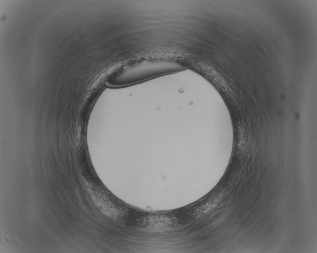 X0000083620636200703121629