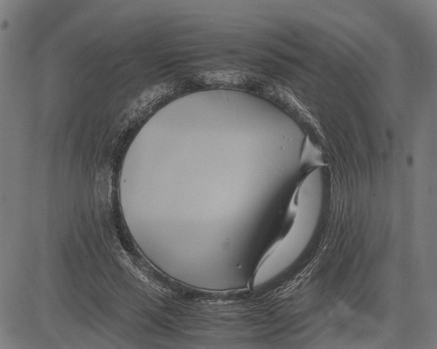 X0000083620637200703121629