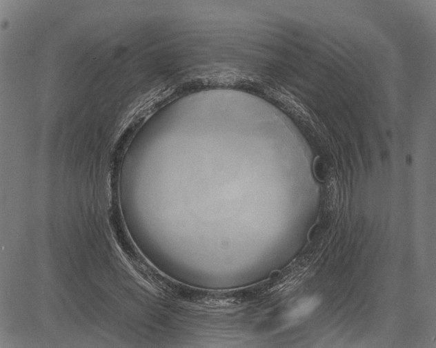 X0000083620638200703121629