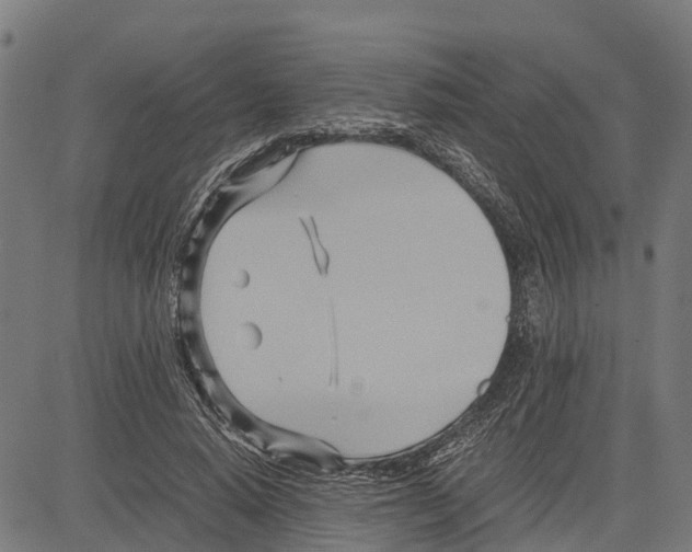 X0000083620640200703121629