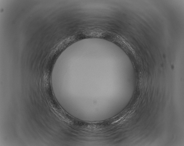 X0000083620641200703121629