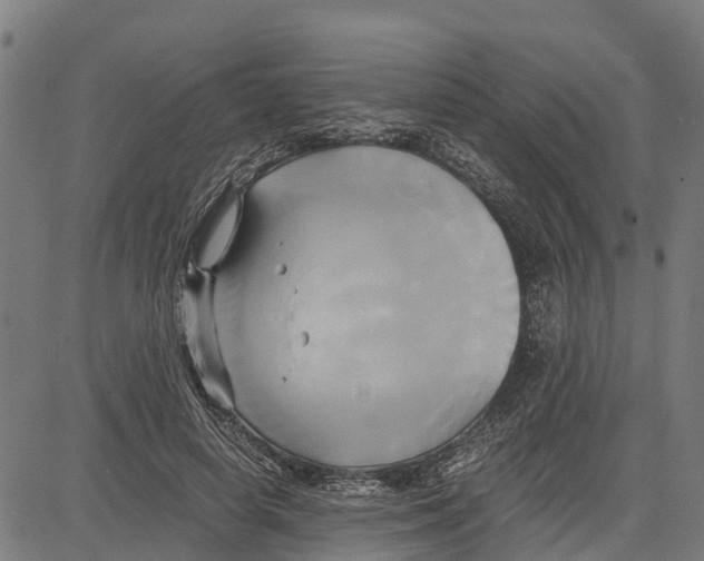 X0000083620642200703121629