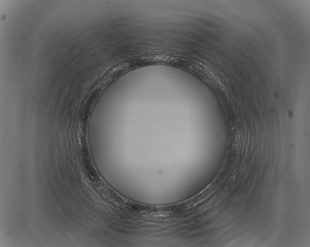 X0000083620643200703121629