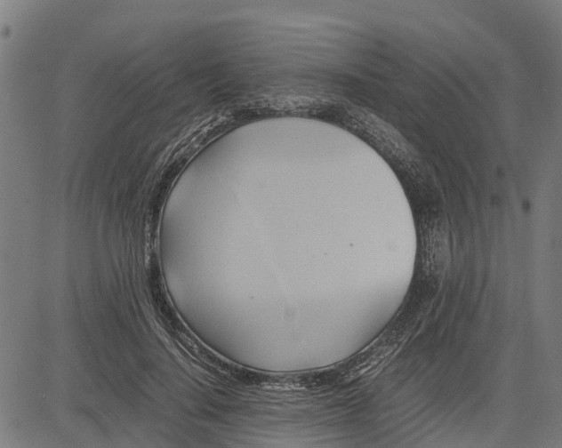 X0000083620644200703121629