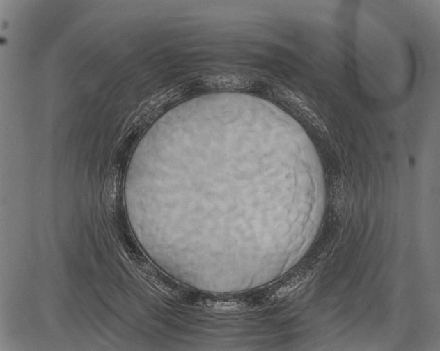 X0000083620645200703121629