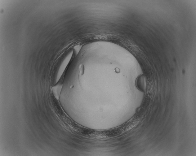 X0000083620648200703121629