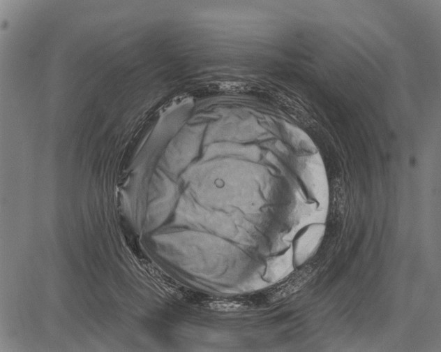 X0000083620650200703121629