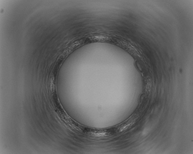 X0000083620651200703121629