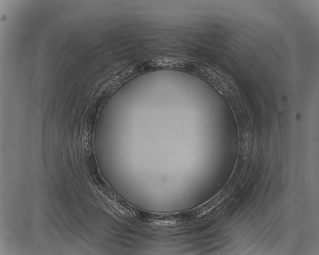 X0000083620653200703121629