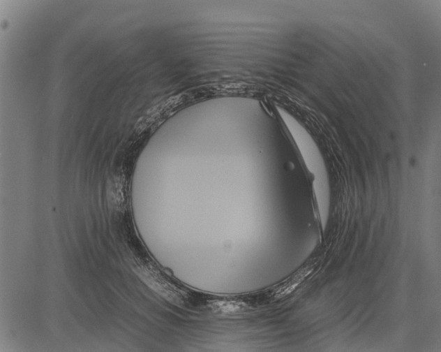 X0000083620654200703121629