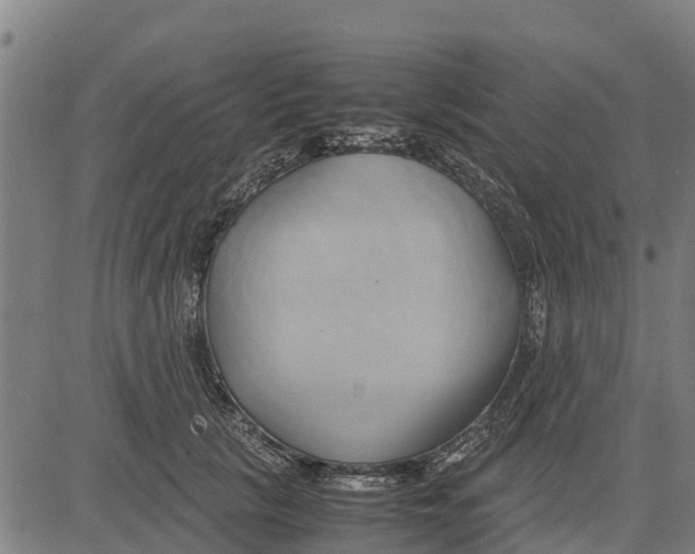 X0000083620657200703121629