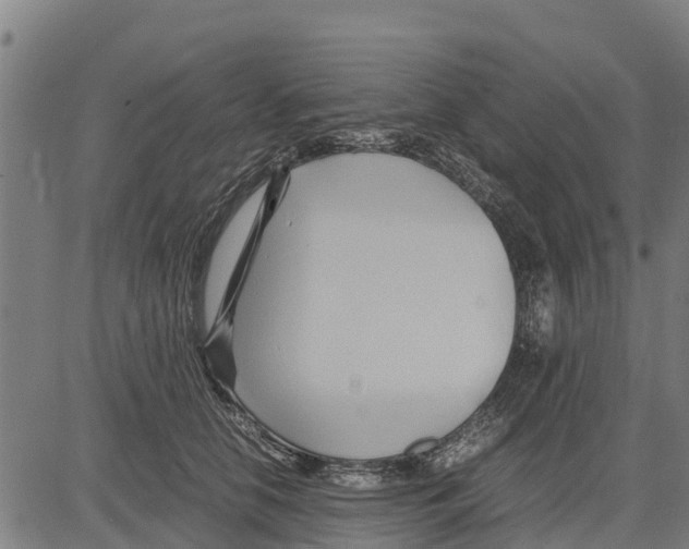 X0000083620658200703121630