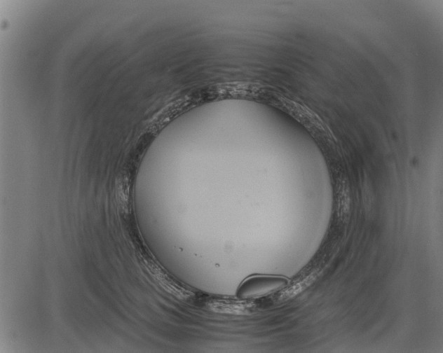 X0000083620661200703121630