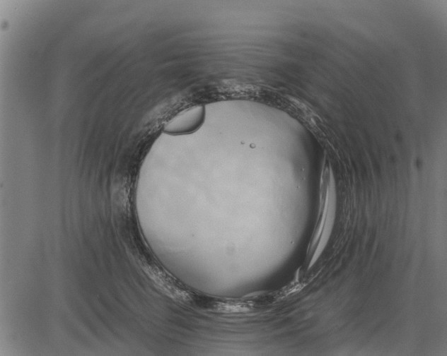 X0000083620662200703121630