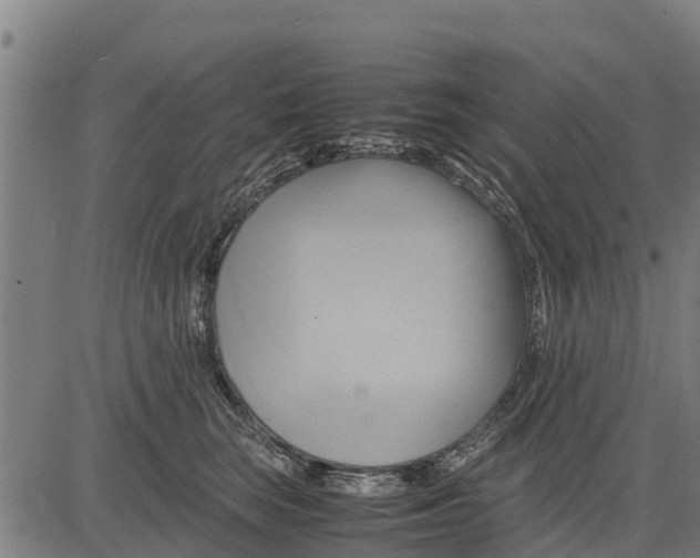 X0000083620663200703121630