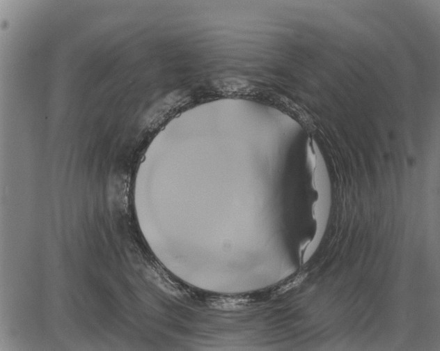 X0000083620664200703121630