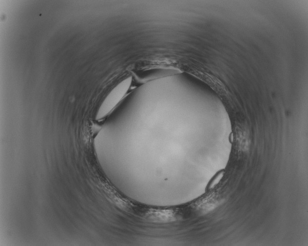 X0000083620665200703121630