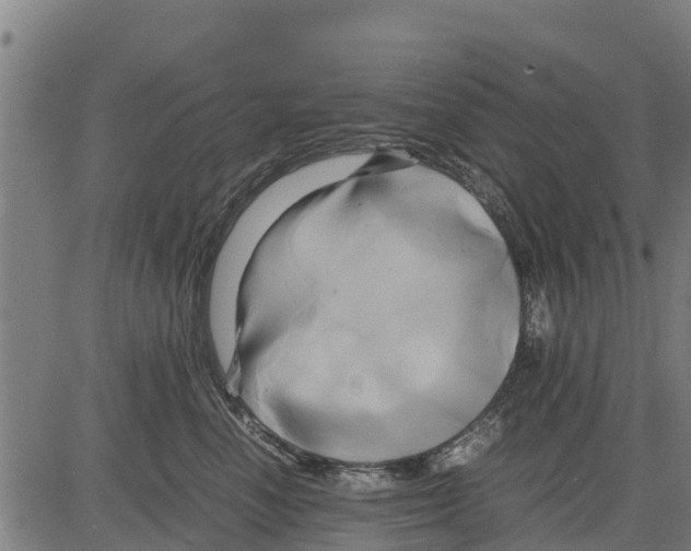 X0000083620666200703121630