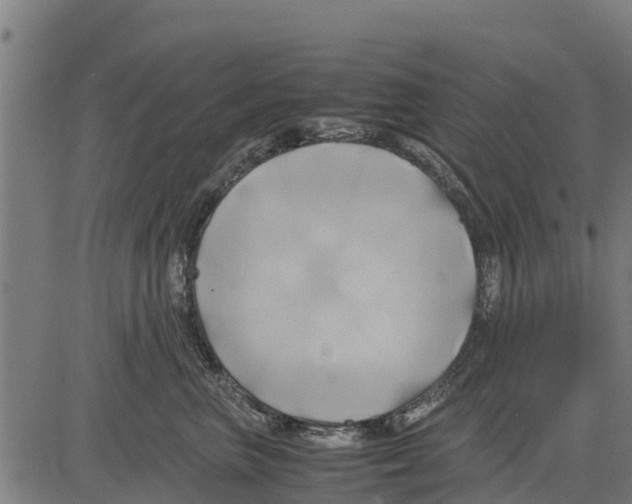 X0000083620667200703121630